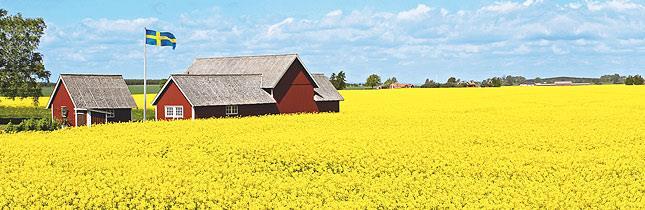 Ny kurs 5. Grundläggande näringslära, 3,5 tim (Målgrupp: F,, P) Maten vi äter behöver vara balanserad för att kroppen ska må bra. I Sverige fortsätter barnfetman tyvärr att öka.