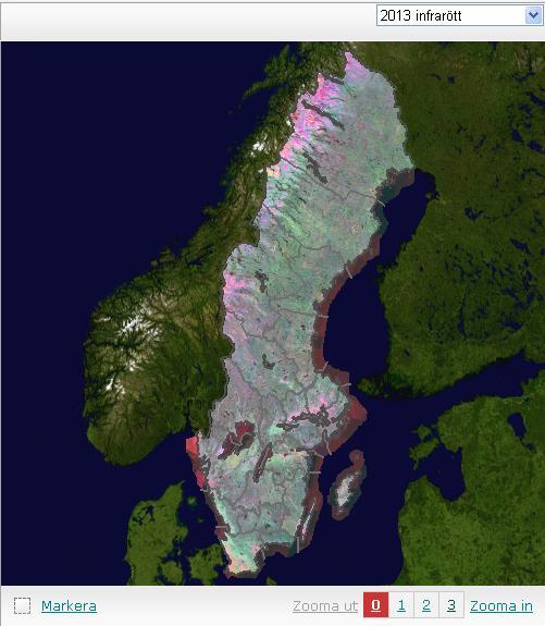 Saccess Utfallet för 2013 är ett av de bättre sedan Saccess start. Sommaren var förhållandevis solig vilket gjorde att många molnfria SPOT5-bilder har registrerats.