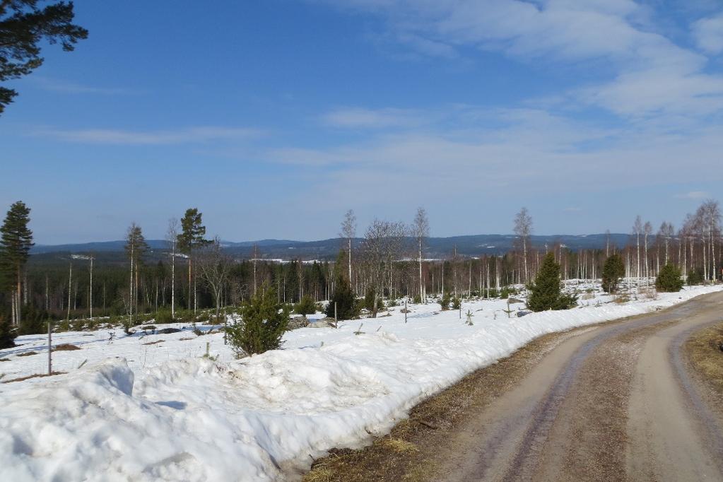 Kommunikationer Vägnät Det finns två befintliga vägar i anslutning till planområdet, en i nordväst och en i nordöst.