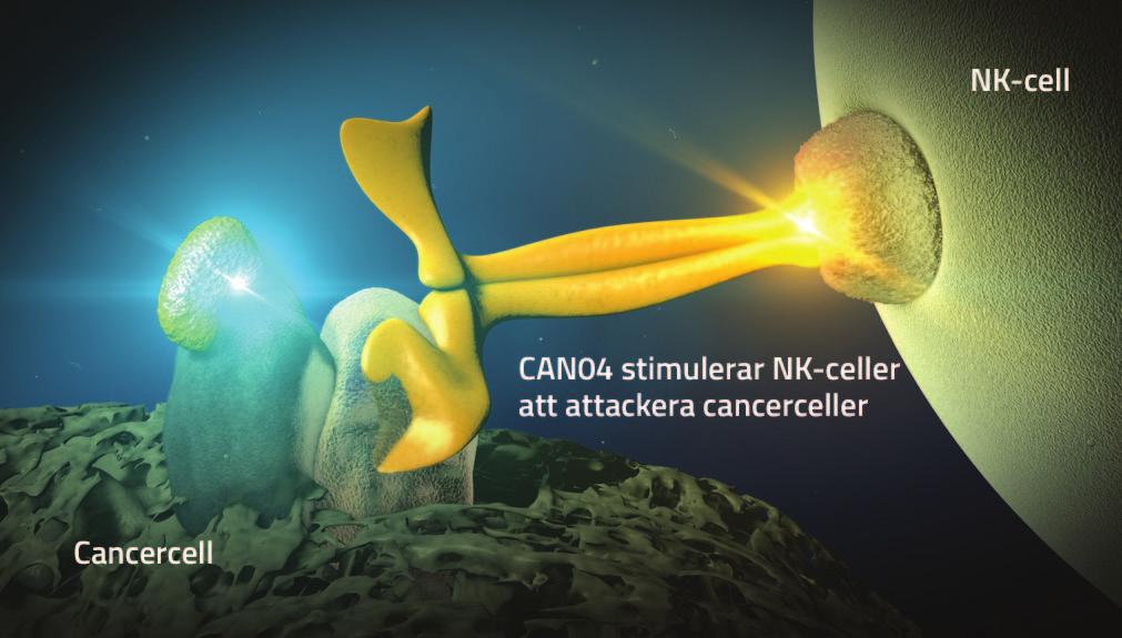 a. motverkar immunförsvarets förmåga att stöta bort tumörer.