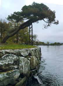 Höguddsstranden blir välvårdad naturpark Höguddsstranden är ett mycket omtyckt parkstråk som utnyttjas flitigt av Lidingöborna.