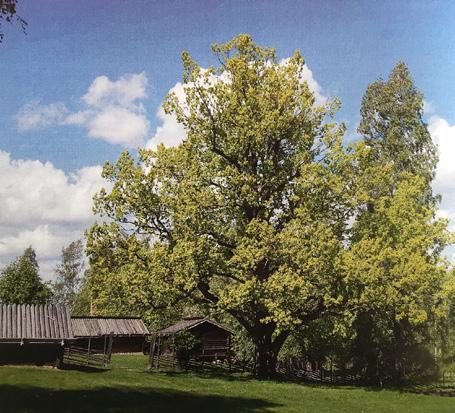 Möjlighet att lämna tidningar till återvinning finns även på Förpacknings- och Tidningsinsamlingens återvinningsstationer eller på Stockby Returpark.