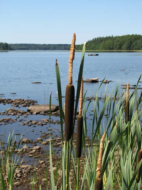 Datum: 060 (9) Taxa för Samhällsbyggnadsnämnden och Tillsynsnämnden Miljö Antagen av Kommunfullmäktige 4 064 Gäller från och med 0700 Hylte