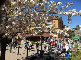 DR FRIES TORG Den 5 maj hölls traditionsenlig loppis på torget. Besökarna blev bland annat underhållna av sångaren Eddie Olivia och Margareta Evmarks Kvartett.