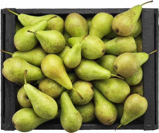 5 FÖR 20k LIME Brasilien.