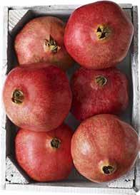 20k/kg PALSTERNACKOR I PÅSE