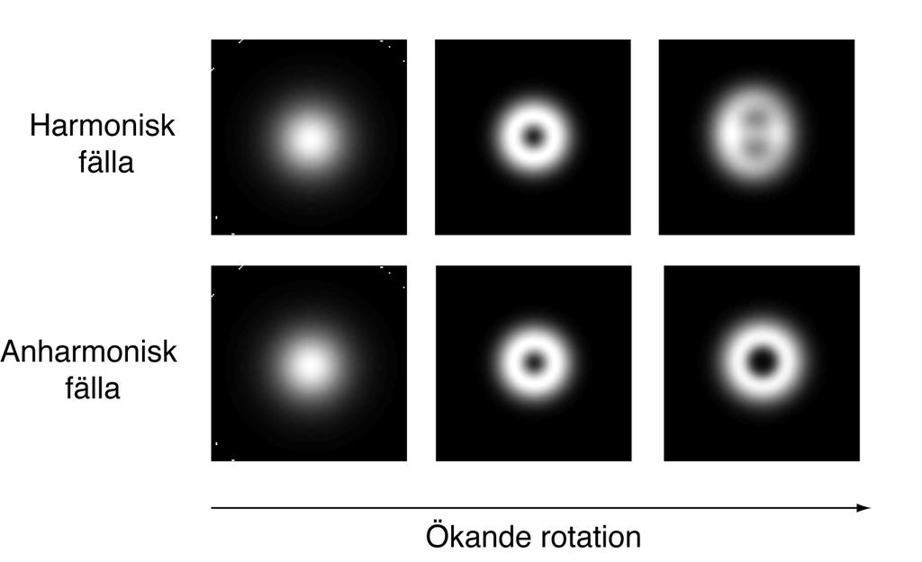 Figure 3: Ett Bose-Einstein-kondensat under ökande rotation. Figurerna är från mina egna teoretiska beräkningar.