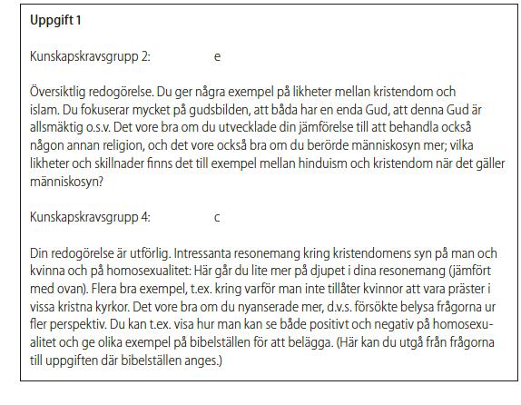 Elevjournalen Ett dokument per elev Pedagogiken föregår tekniken. Ordbehandlare fungerar fint! Återkoppling dokumenteras. Men också annan viktig information Återkoppling Exempel Ska man ge betyg?