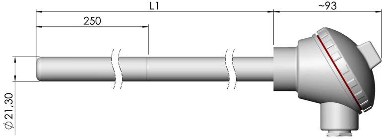 Spetsen (L2 = 250 mm) är förstärkt med ett stångmaterial som är borrat för Ø 6 mm mätinsats.