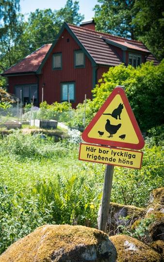 Maria Sandberg har känt sig väl omhändertagen under alla sina 26 år som kund hos Sparbanken i Karlshamn. Nu sprider sig tryggheten inom familjen.