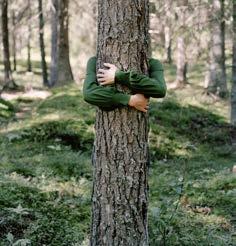 folkbildning och vuxenutbildning i hela Sverige.