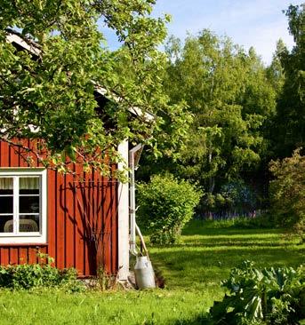 Övriga språk De flesta av våra lärare undervisar på sitt modersmål och kan därmed mycket om landets kultur och samhälle.