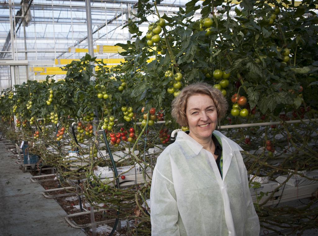 Jenny Crone, ansvarig för WarmCO2. Nederländerna är en av världens största exportörer av livsmedel. År 2016 exporterade landet trädgårds- och lantbruksprodukter för 85 miljarder euro.