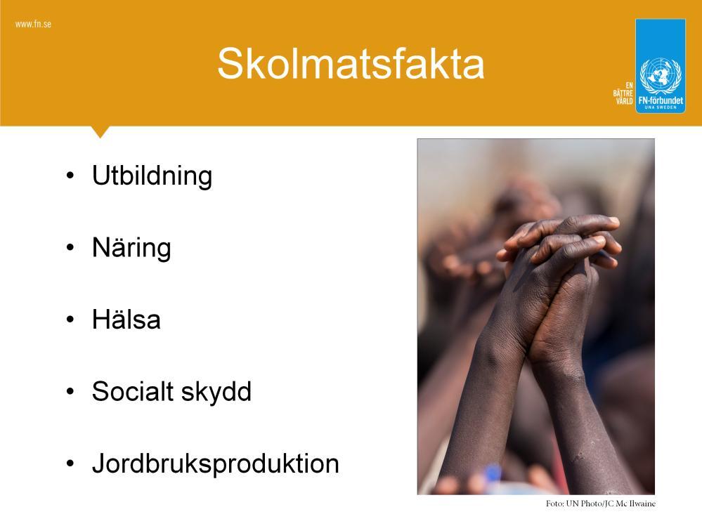 Genom gratis skolmat stoppar vi hunger och startar skolgång! För fattiga familjer gör gratis skolmat en enorm skillnad, och är ofta det som avgör att föräldrar ska låta barnen gå i skolan.