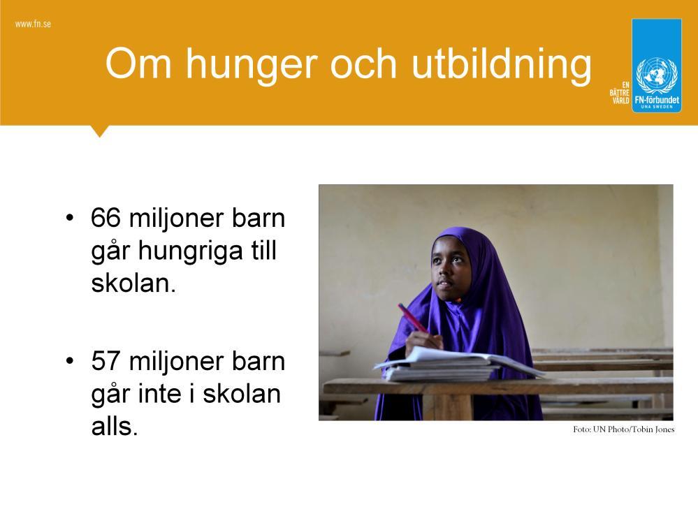 Utbildning är utveckling. Varje dag går 66 miljoner barn i låginkomstländer hungriga till skolan. Fortfarande finns det cirka 57 miljoner barn i skolåldern som inte går i skolan alls.