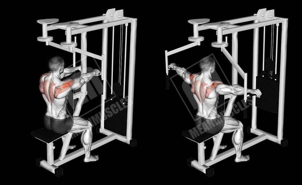 Variera gärna greppen, smalt, brett, vänd handflata etc 8 reps x 3 set.