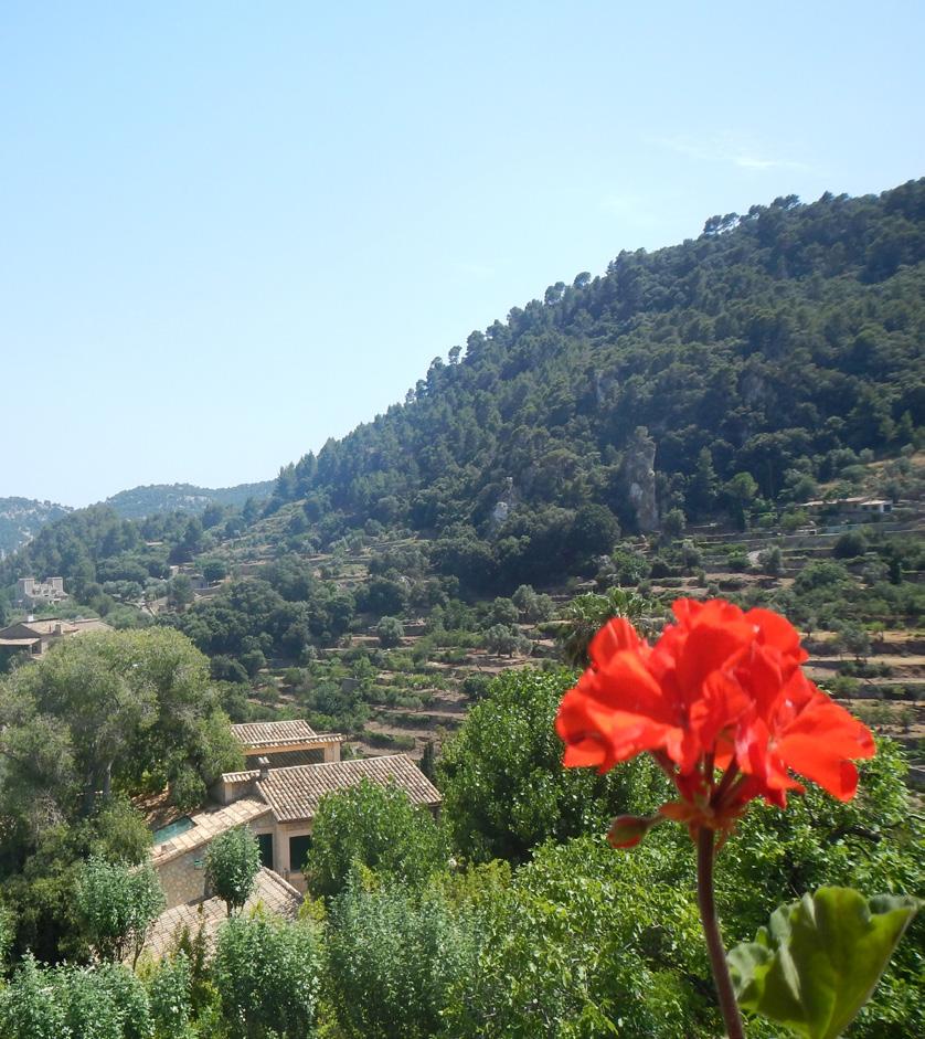 Mallorca - upplev det okända Mallorca En resa i behagligt tempo där du får upptäcka lite mer av det okända Mallorca tillsammans med Fredric Cederlund.