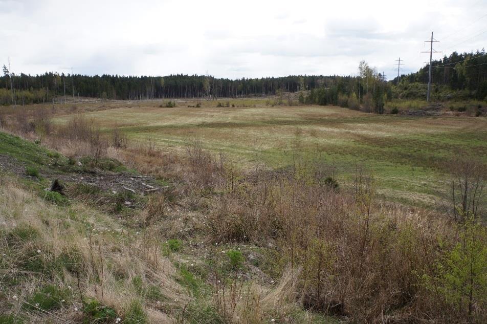 Exempel på jordvall med litet utflöde nära dammbottnen.