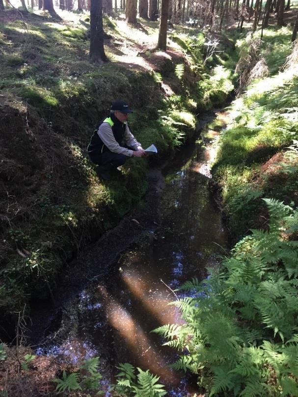 Fotografier över den aktuella platsen Fotografi från en del av vattendraget där