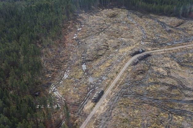 markkompaktering och spårbildning. Körning ska undvikas vid blöta förhållanden. Kostnaden för att undvika körskador är låg.