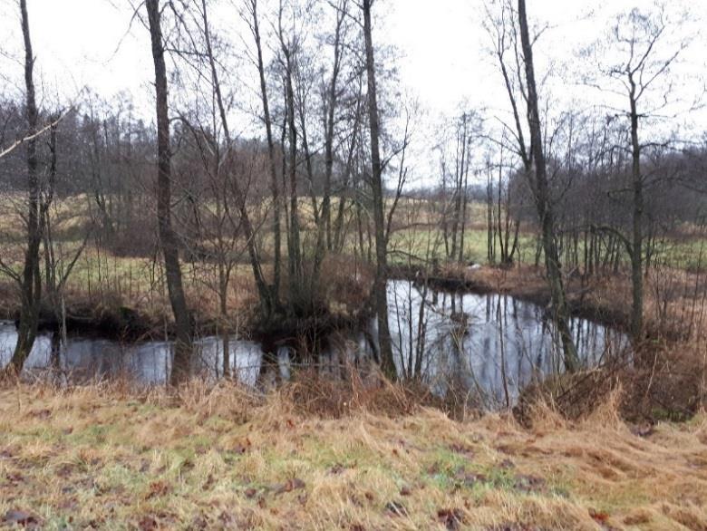 Vinsterna är ökad flödesdämpning, minskade näringsförluster och mångfald. Kostnaden är stor för anläggning och medelhög för underhåll. Underhållet består av slåtter eller putsning av svämplanen.