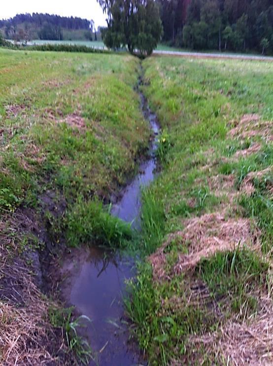 Bild 43. Tillrinnande dike till Grålösbäcken, Strömstads kommun.