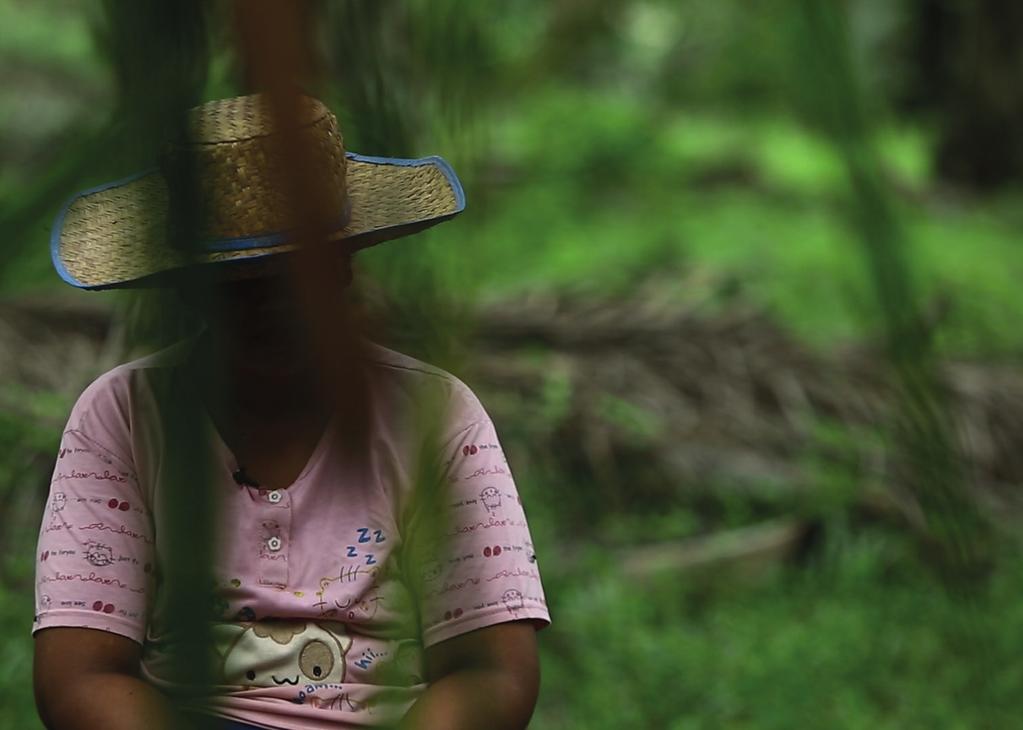 Nu är det dags att agera för kvinnors rätt till schyssta arbetsvillkor på palmoljeplantage i Indonesien.