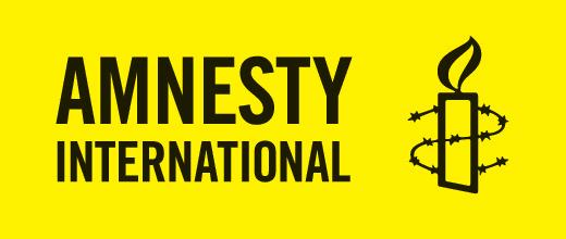 Som aktiv medlem i Amnesty kan du anmäla ditt intresse för att vara volontär på ICM, det internationella rådsmötet, som äger
