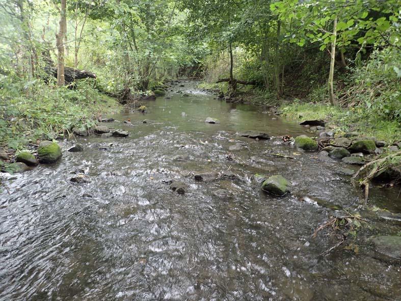 Undersökning av fiskfauna och vandringshinder Höje å -