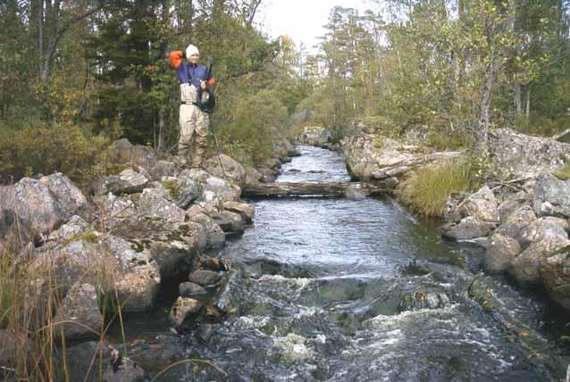 Emån, Sällevadsån, Flottled nedan Vensjön Lokalbeskrivning Lokalen ingår i en serie nya stationer som Lokalkoordinater: 636696-148832 elfiskas inom Life-projektet Flodpärlmusslan Fiskedatum: