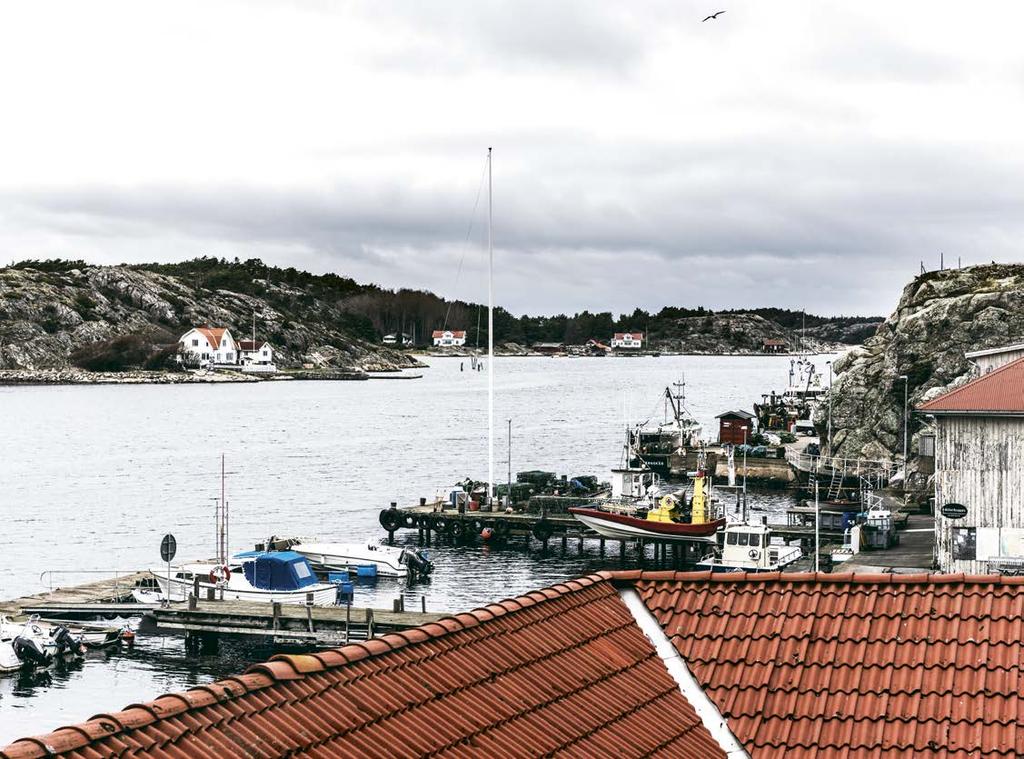 REPORTAGE I Catxalots lokaler i hamnen i Havstenssund i Bohuslän bjuder Jonas Pettersson på tångchips tillagade med fingertång som huvudråvara. Det är vad jag använder som introduktionsrätt till tång.