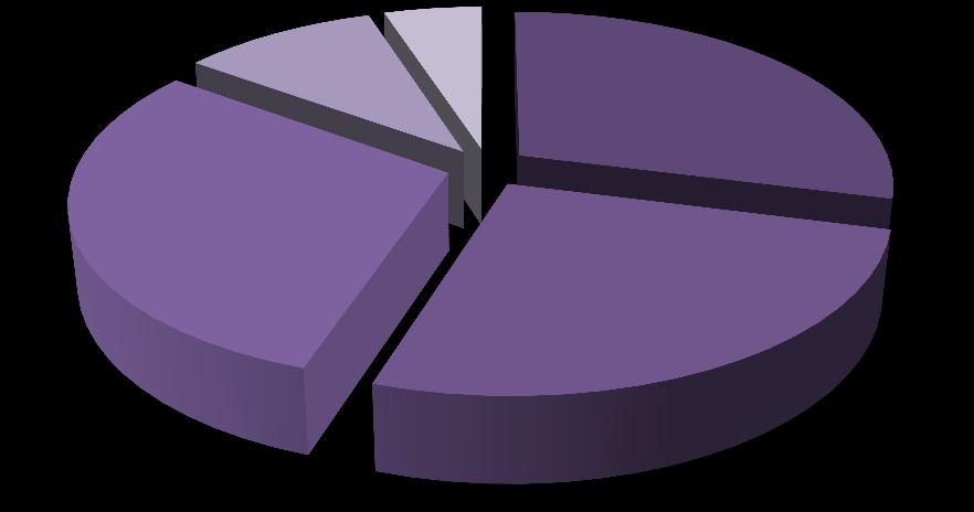 11 (18) barnomsorg 30 % övrigt 10% kök 5% fastighetsskötsel 29% äldreomsorg 26% Figur 4 Procentuell fördelning utifrån yrkesområde av ungdomar sprint som har feriearbetat 2017 Målgrupp feriepraktik