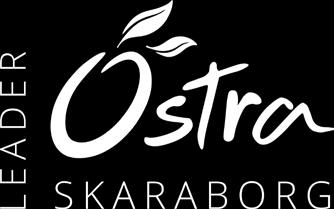 En investering räknas som något som kostar mer än 22 000 SEK. Vid frågor kring detta kontakta Leader Östra Skaraborg. - Alla utskick, trycksaker, hemsidor m.m. som produceras i projektet måste innehålla korrekta logotyper för EU-fond och Leader.