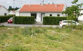 92 Plantor för markmiljöer FÖRSLAG PÅ ÖRTPLUGGPLANTOR I OLIKA BIOTOPER Torrt öppet näringsfattigt - torräng, torrbacke, vägbank 2-10000 Achillea millefolium rölleka 2-10031 Anrica montana