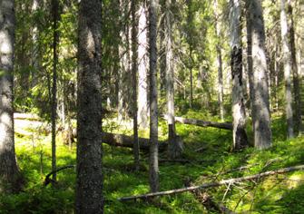 se Förslag till diskussionsfrågor finns i studiehandledningen, visa gärna filmklipp ur sajten. 1. INLEDNING Handlar om varför det är viktigt med kunskap om skog och klövvilt, samt skogsbrukets mål 2.