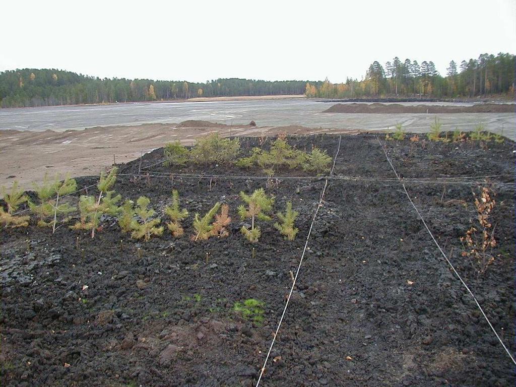 varaktighet Tätskikt på Dragmossen med 50/50 aska och rötslam (FSA), Svenska EnergiAskor AB 9