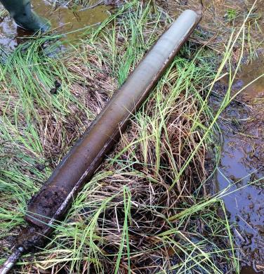 se/farnebofjarden Välkommen till Färnebofjärdens nationalpark Hittills har man funnit åtminstone fyra vegetationsförändringar över tiden.