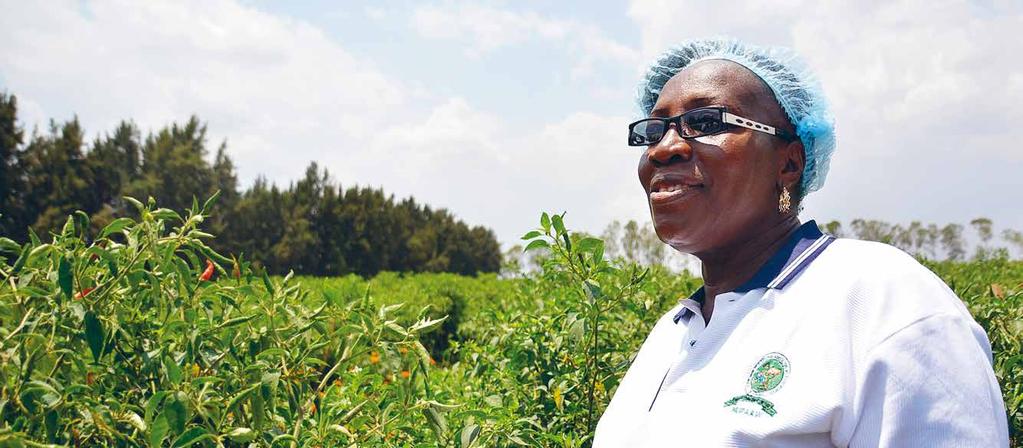 ORGANISERING FOTO: LINA KARLSSON Nu tas jämställdhetsfrågor på större allvar Adwoa Sakyi är baserad i Ghana och samordnar det globala facket IUF:s regionala kvinnoprojekt, som drivs i 16 afrikanska