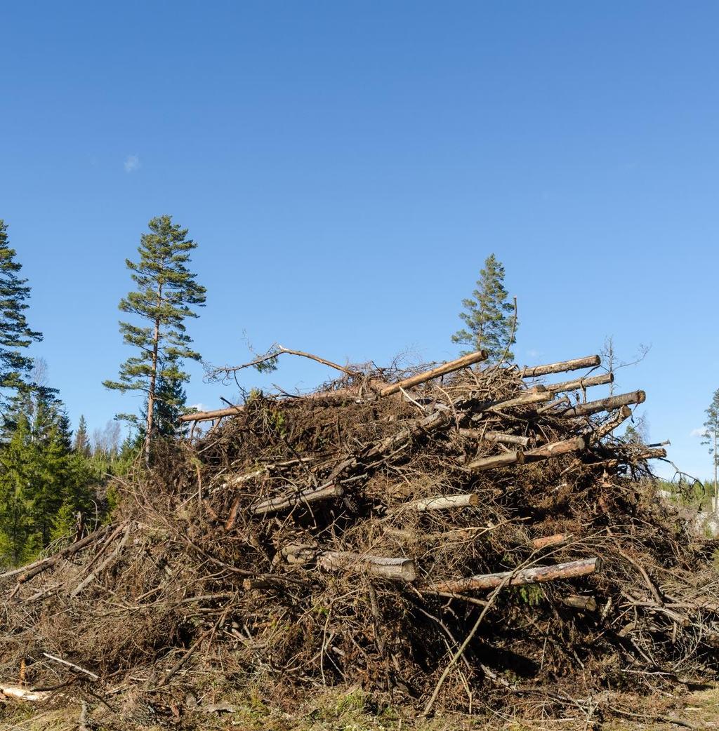 Biobränslen Hållbarhetskriterier för fasta biobränslen (förnybartdirektivet RED II): Europaparlamentet röstade 17 jan trilog pågår med Ministerrådet och Kommissionen Bra utfall hittills: 20 MW-gräns,