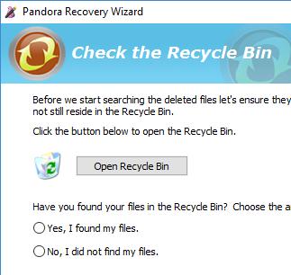 Klicka på Open Recycle Bin 5. 4 Filen finns tyvärr inte i Papperskorgen, så återvänd till guiden. Var ska jag placera den återskapade filen?