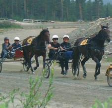 Ridning 1,5tim, 600:-/pers RIDNING - ISLANDSHÄSTAR Gruppstorlekar från 4 pers, med häst och vagn 10 personer. Ridtur, 1,5 tim. Pris från 500:-/person Halvdagstur med fika 3 tim.