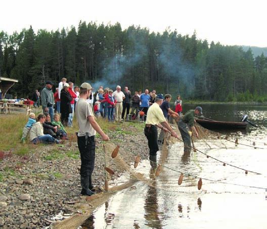 GUIDADE FISKETURER I dom bästa fiskevattnen kan vi bäckmeta, flugfiska, uttra, trolling (köra drag) efter storöring, röding, sik, gädda eller varför inte bara meta abborre med någon erfaren guide.