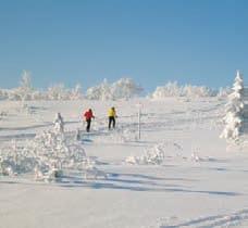 utrustning. SKIDSKOLA Lär er åka telemark, snowboard, slalom med hjälp av våra duktiga skidlärare. Skidskola finns i alla svårighetsgrader. Tid ca. 2 tim Pris 535:-/person. Minst 4 personer.