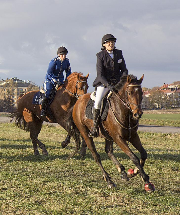 I år red vi vår Hubertusjakt på rätt dag dvs 3:e november, Hubertus. Vi rider till minne av Ardennernas apostel, St Hubertus, jägarnas skyddshelgon.