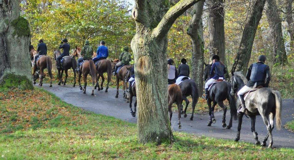 Då fältet kom tillbaks till Gärdet, hoppades några hinder. Fältet samlades, mastern hade genomgång av gällande regler för upploppet.