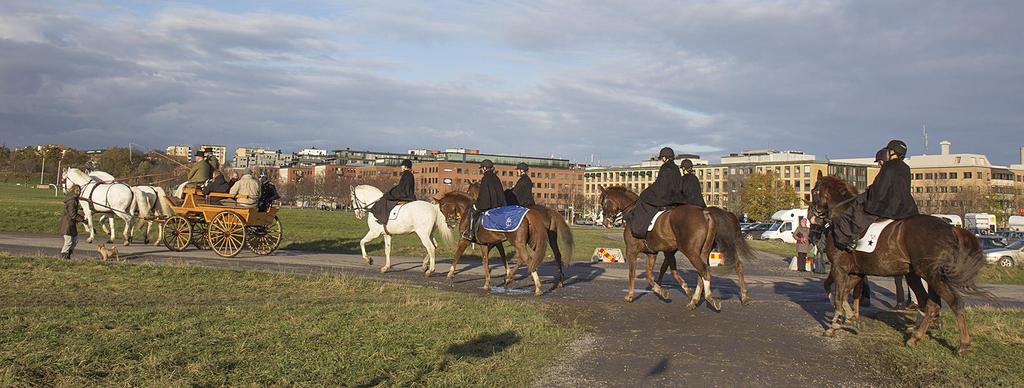 Ryttaren i gul hjälm är Ronny Walldén, årets Bäste Jaktkamrat.