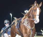 Start 9:0 ODDS LO Bankod 0 Sydst -åriga och äldre.00 -.000 kr. 0 m. Voltstart. ris: 0.000-0.000-.000-.00-.000-(.00)-(.00) kr. TIO Hederspris till segrande hästs ägare, körsv och hästskötare.