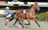 Sisyfos Breeders AB, Sigtuna Ägare: Einari Vidgr Oy, Finland Tränare: er Nordström, Jägersro Skötare: Emma Nordström Körsv: er Nordström Har stam som förpliktar.