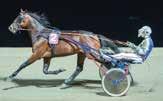 VALKY Brun hingst, född 0-0- Muscle Hill - Valkyria.Ö.K. / Varne Uppfödare: A & A Trotters AB & Syd Buss AB Ägare: Syd Buss AB & YTAAB AB Tränare: Svante Båth, Solvalla Skötare: Moa Thörngr Körsv: K