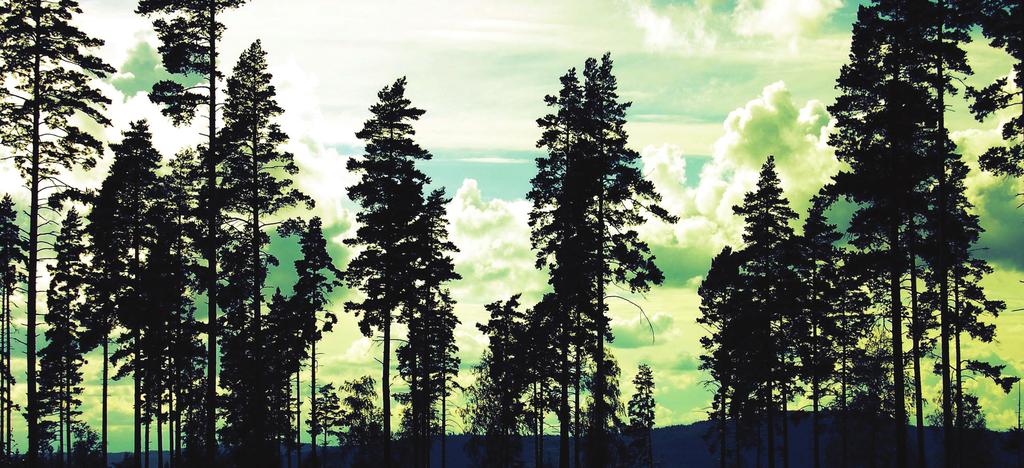 Mindre luftföroreningar, mindre ozon, mindre klimatpåverkan Skogsekosystemen i Sverige binder årligen in kol motsvarande 30-40 miljoner ton CO2-ekvivalenter.